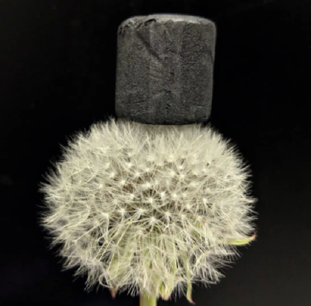 1762485455851639.png 碳气凝胶