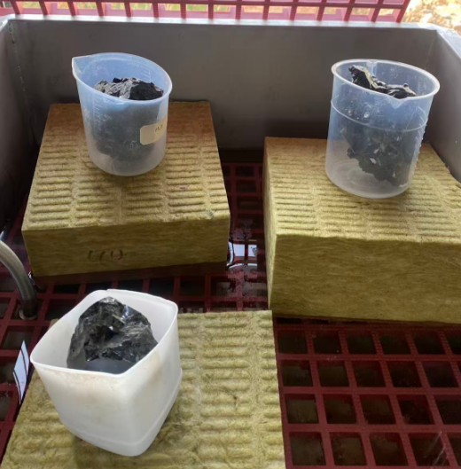 1767949271680612.png 5555.png